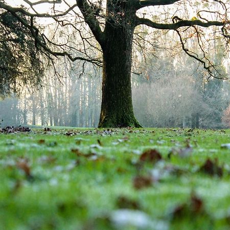 Chateau De La Chasse Beauvais Romagne  Eksteriør bilde