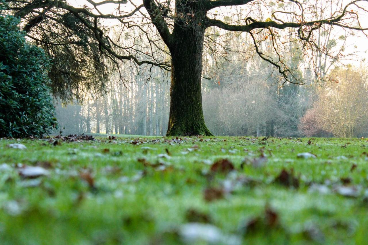 Chateau De La Chasse Beauvais Romagne  Eksteriør bilde